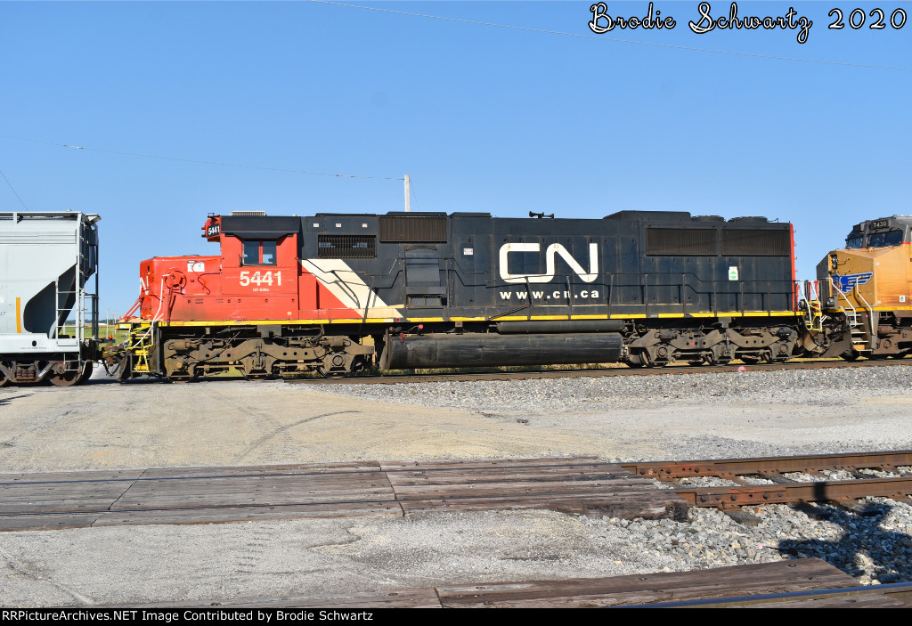 CN 5441